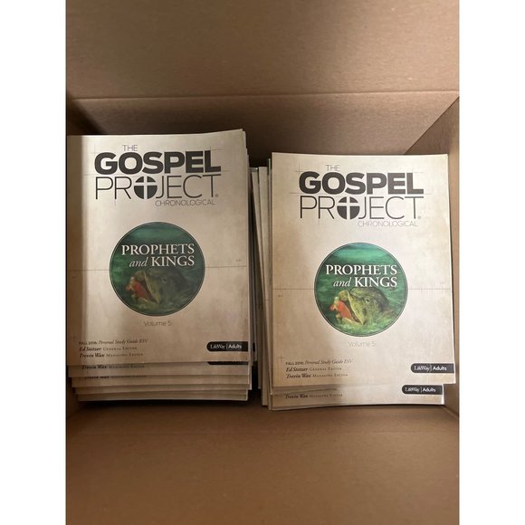 The Gospel Project Volume 5 Prophet and kings (30pcs) - Picture 1 of 1